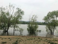 -永定河休闲森林公园