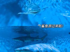 -正佳极地海洋世界