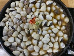 -顺德哥卜卜贝(旗舰店)