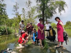 -上海长兴岛郊野公园