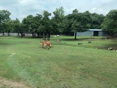 -西安秦岭野生动物园