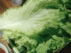 -柿子树炭烤羊腿(金台路店)