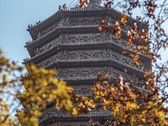 -玲珑塔公园