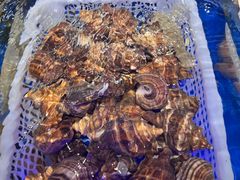 -南山鲜虾面·活鲜小馆·海味大连菜(南山总店)