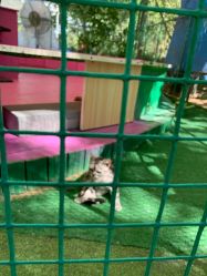 -萌宠亲子动物乐园(槐房万达店)