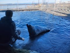 -西雅图水族馆