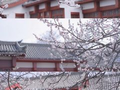 -椒馋小馆(绿源路店)