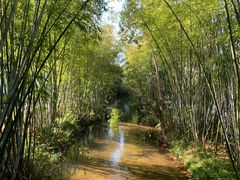 -林丰温泉度假山庄