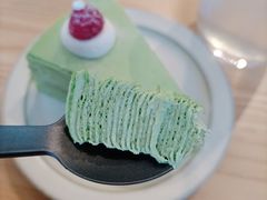 开心果千层-叶太YETAI(良库店)