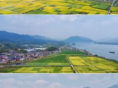 -东梓关景区村庄