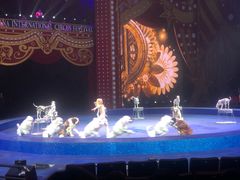 -珠海横琴长隆《卡卡虎奇遇记》