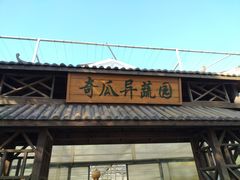 -上海都市菜园