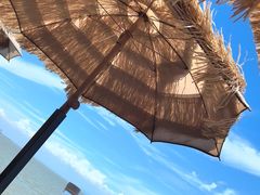 -沙头涌渔栏海鲜餐厅