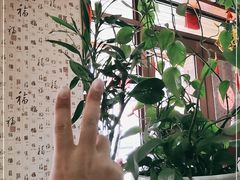 -丽梅羊汤土菜馆(河畔花园店)