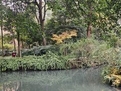 -王家渡火锅(三苏祠店)