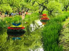 -上海共青森林公园