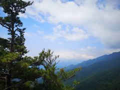 -牛背梁国家森林公园