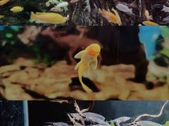 -太平洋海底世界