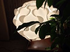 iphone_upload_pic-嘉善老市