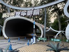 -枫花园汽车电影院(朝阳公园店)