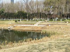 -后襄河公园