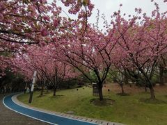 -苏州河梦清园环保主题公园