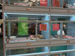 -FAELING PETS美天灵宠物(合生汇店)