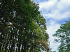 -动邦皮划艇·桨板·独木舟·团建户外运动俱乐部