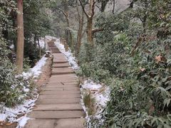 -青城山