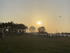 -宝安西湾红树林湿地公园