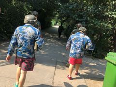 -亲兄弟真人CS团建拓展基地
