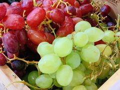 -歎雪糕低糖低脂Gelato冰淇淋