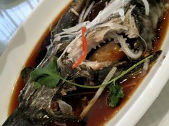 清蒸鲟鱼-双井轩(双井店)