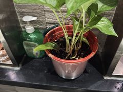 -大唐盲人按摩中心(天山路店)