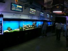 android_upload_pic-御唐府海珊瑚主题餐厅
