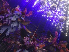 -好乐迪KTV(金钻店)