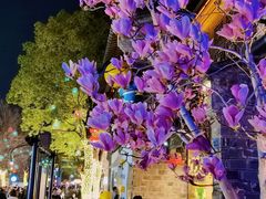 -老门东历史文化街区