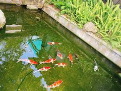 -湖南别院·美学庭院餐厅(惠阳店)