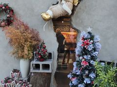 -田老师红烧肉(回龙观二店)