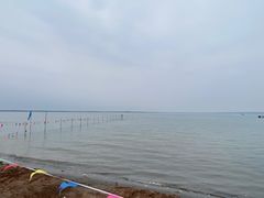 -红碱淖景区