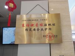 -AMG海上明珠影城(上海环球港RealDCinema店)