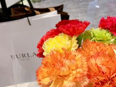 -宁波杉井奥特莱斯广场