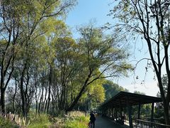 -西湖风景区-江洋畈生态公园