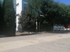 -首都师范大学附属回龙观育新学校