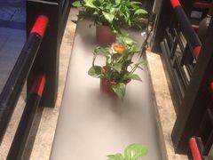 -红蜡烛-养生粥-津鲁菜(中山路店)