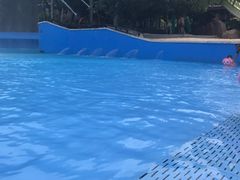 -亚马逊丛林水乐园