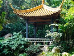 -广州兰圃