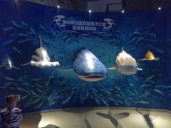 -烟台海昌鲸鲨海洋公园