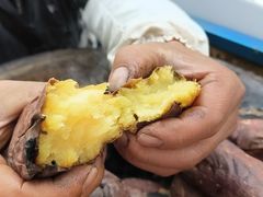 -龍歌自助小火锅(市北CBD万达店)