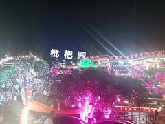 -枇杷园食为鲜火锅(南山店)